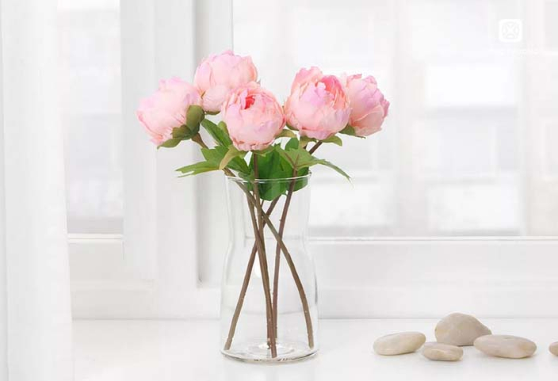 Thay lời muốn nói