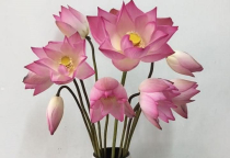 NHỮNG LỢI ÍCH HOA TƯƠI ĐEM LẠI NHỮNG LỢI ÍCH HOA TƯƠI ĐEM LẠI