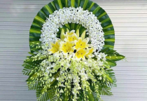 DỊCH VỤ THEO DỊP ĐẶC BIỆT DỊCH VỤ THEO DỊP ĐẶC BIỆT