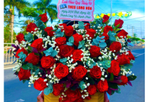 SHOP HOA TƯƠI TÂN LÂN