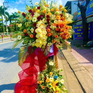 Hoa chúc mừng hội nghị - khai trương 16483