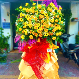 Hoa chúc mừng hội nghị - khai trương 21718