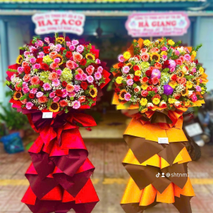 Hoa chúc mừng hội nghị - khai trương 66726