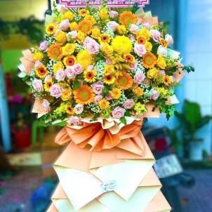 Hoa chúc mừng hội nghị - khai trương 79214