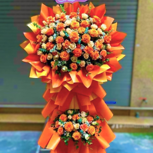 Hoa chúc mừng hội nghị - khai trương 49449