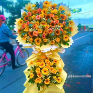 Hoa chúc mừng hội nghị - khai trương 53929