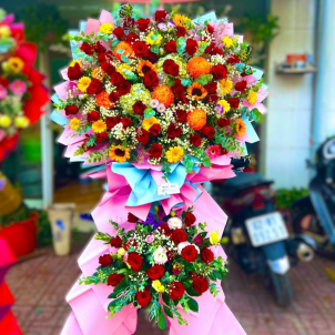 Hoa chúc mừng hội nghị - khai trương 62648