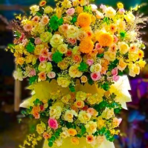 Hoa chúc mừng hội nghị - khai trương 13457