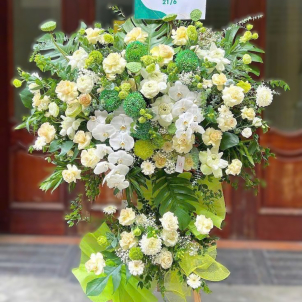 Hoa chúc mừng hội nghị - khai trương 15897