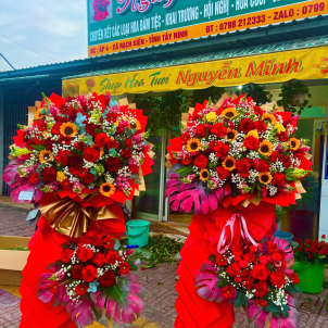 KỆ HOA CHÚC MỪNG HỘI NGHỊ - KHAI TRƯƠNG 11785