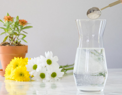 BẬT MÍ 7 CÁCH LÀM HOA TƯƠI LÂU – MẸO VẶT TRONG NHÀ