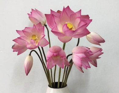 NHỮNG LỢI ÍCH HOA TƯƠI ĐEM LẠI