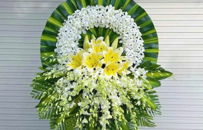 DỊCH VỤ THEO DỊP ĐẶC BIỆT